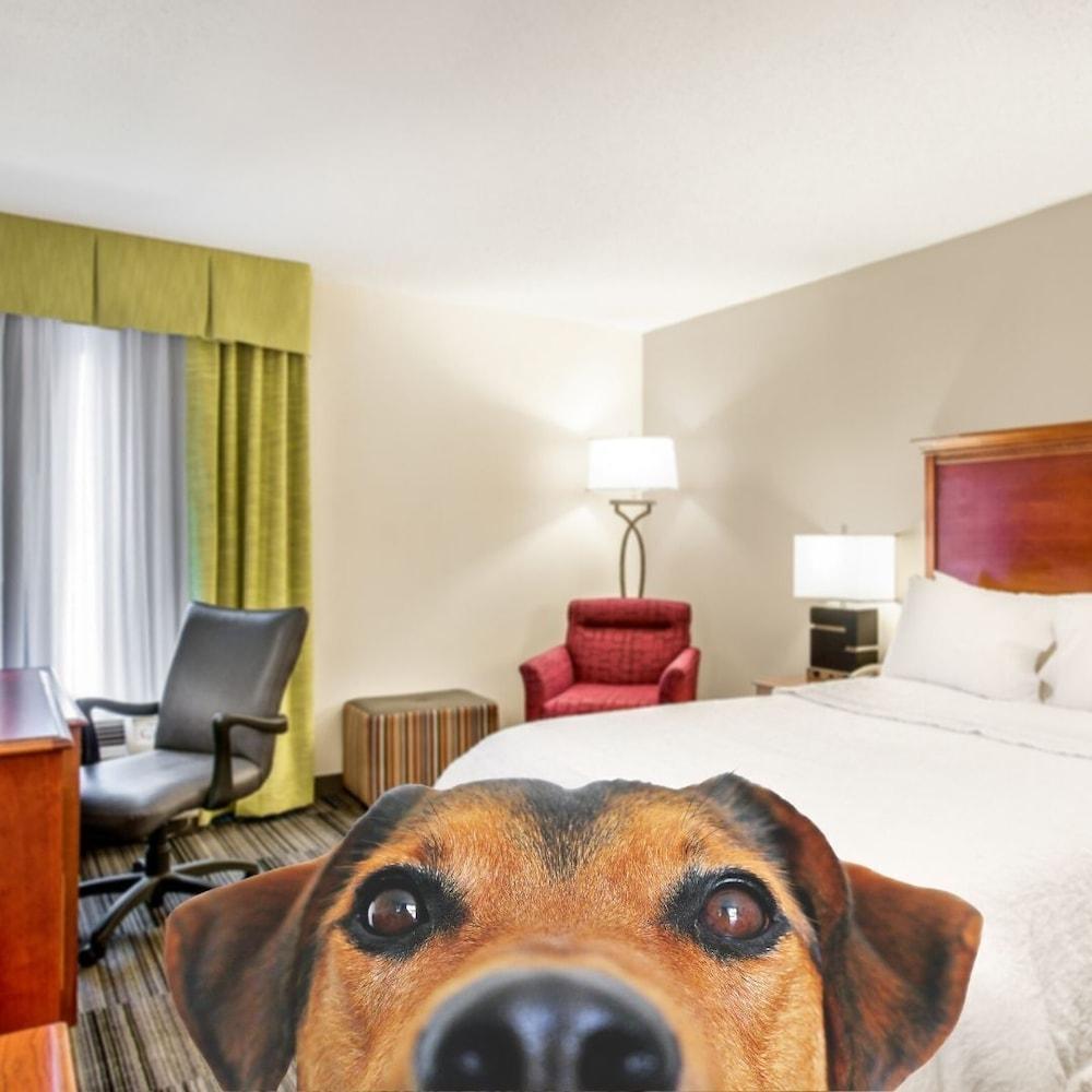 Hampton Inn Bowling Green Ky Εξωτερικό φωτογραφία
